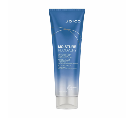 JOICO ACONDICIONADOR MOISTURE RECOVERY 250ml